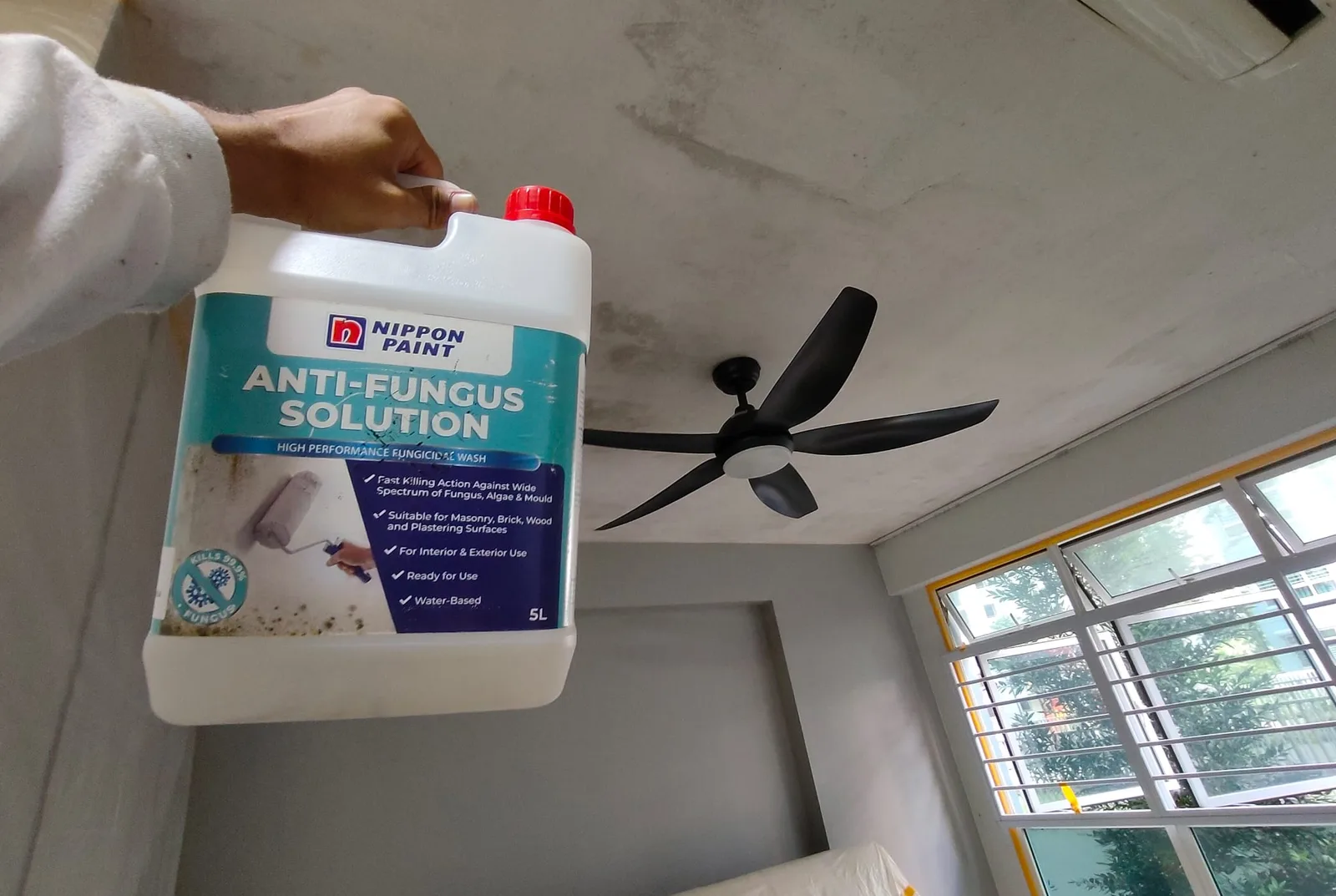 Painter holding Nippon Anti-Fungus Solution below a mould-stained ceiling in Singapore