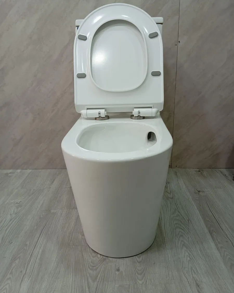 New white one-piece toilet bowl installed against a tiled wall in a Singapore bathroom