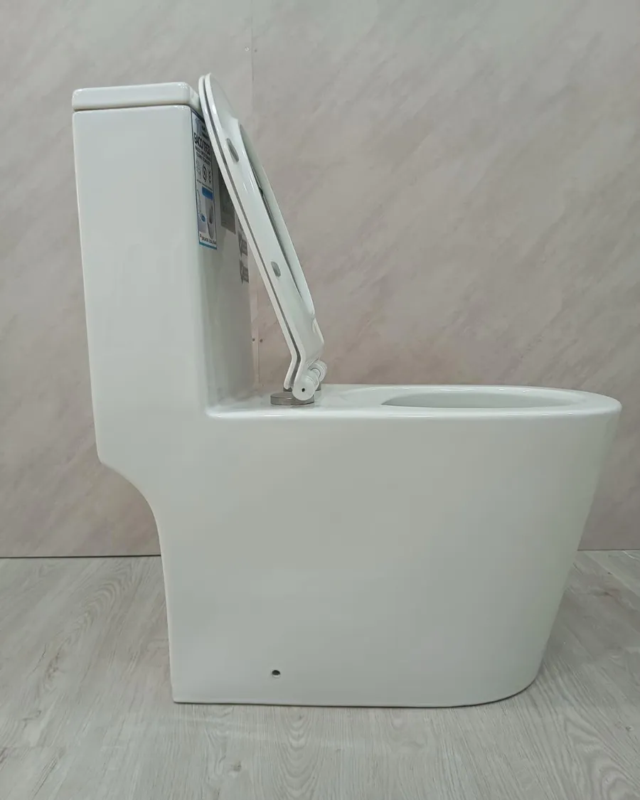 Side view of a newly installed one-piece toilet bowl in a Singapore bathroom